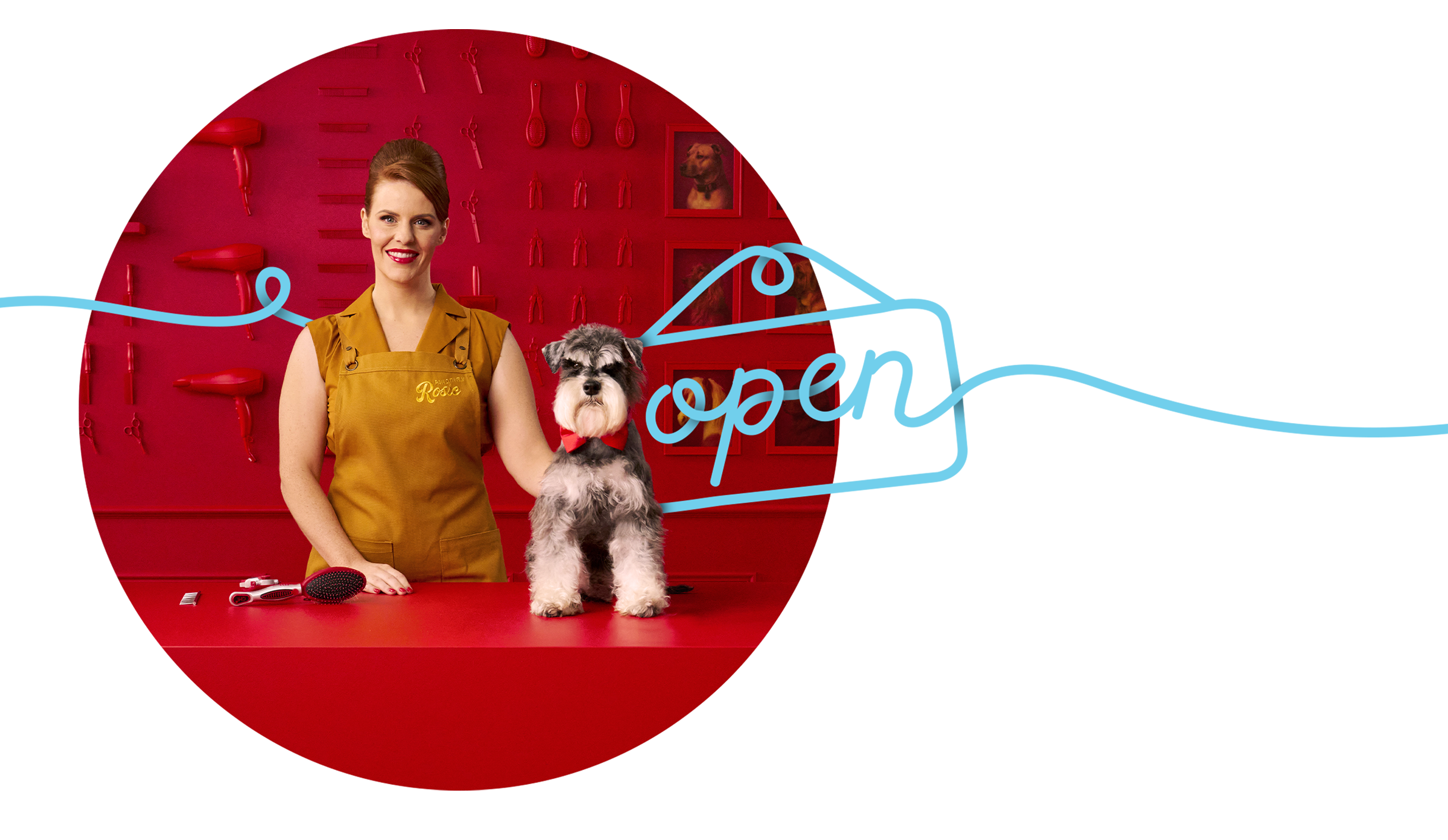 Rosie-dog-groomer-commercial.png