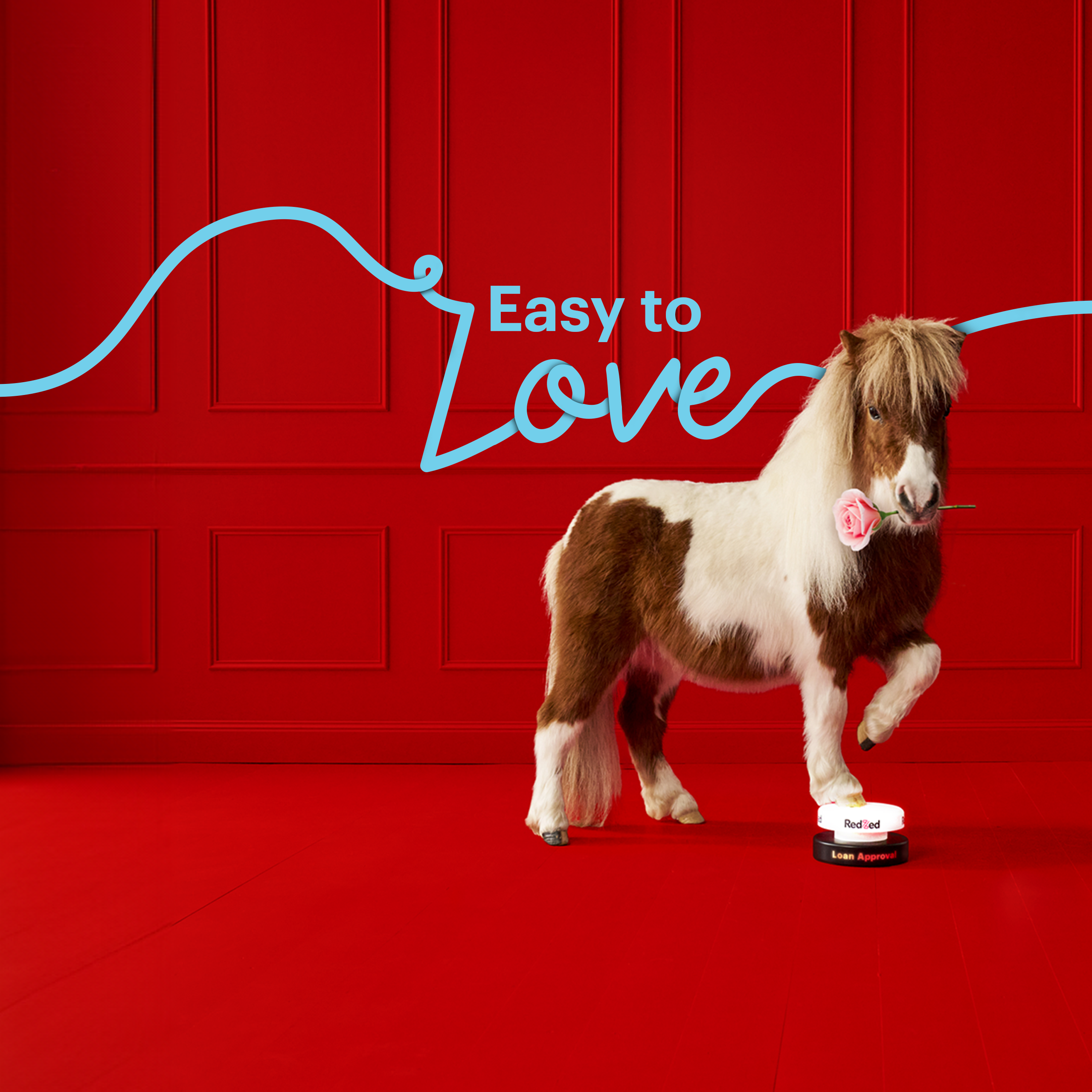 iRED12534_DougieRose - 2560x2560.webp