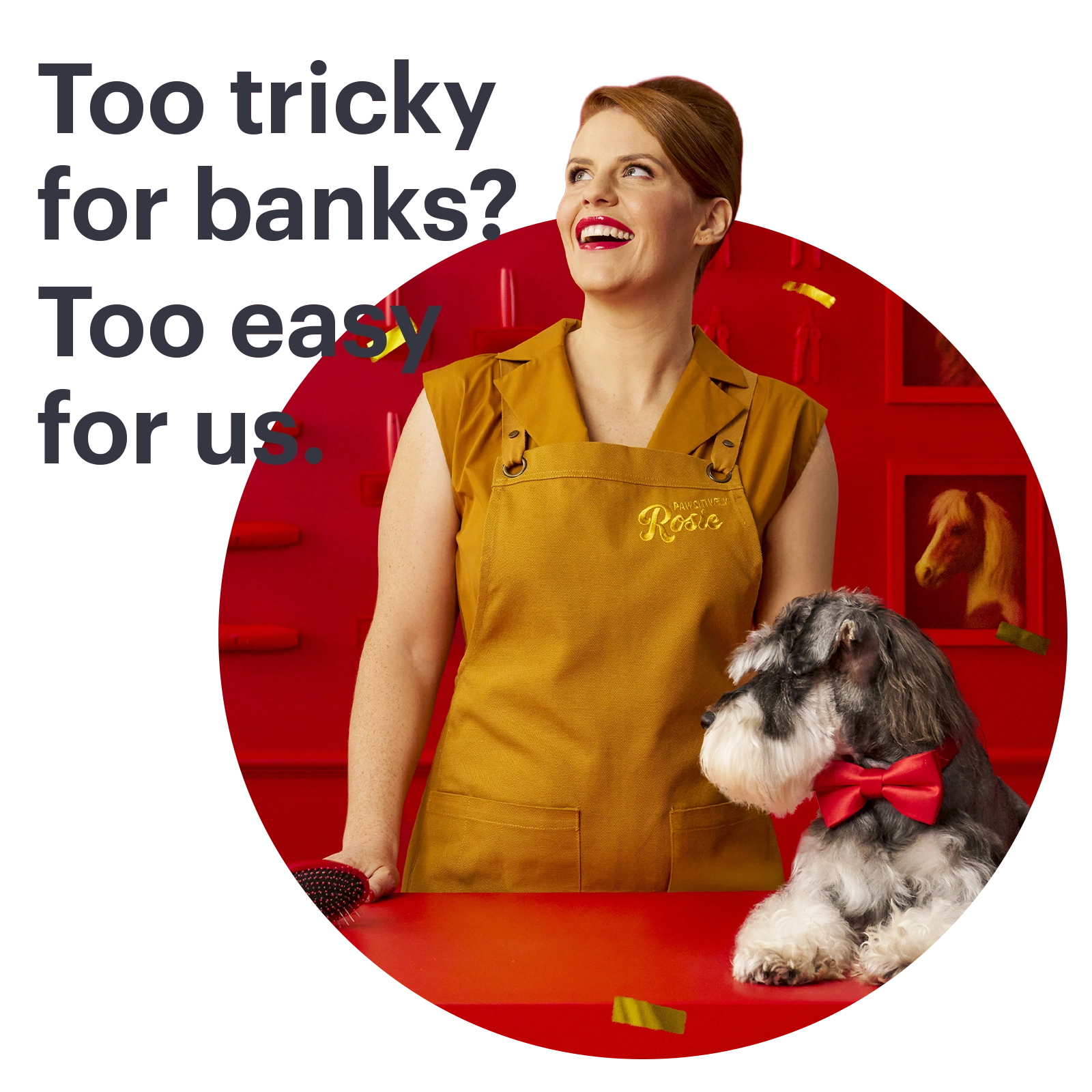 rosie_too-tricky-for-banks_image_1600x1600.webp